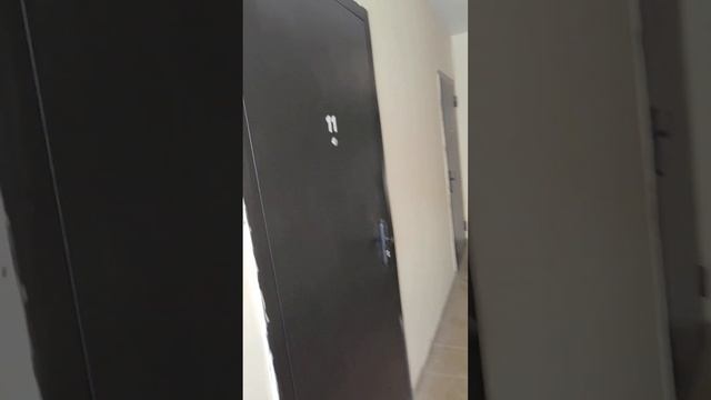 Студия в Шиловке 22 кв.м Светогорская, 98 Г смотреть онлайн