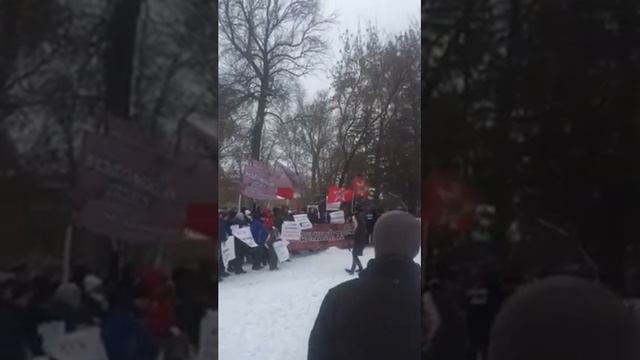 Дольщик Пензы