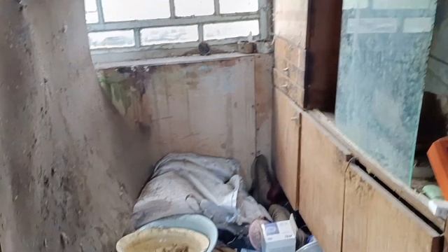 Шеншиновка смотреть онлайн