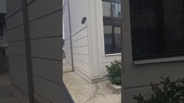 Таунхаус в Геленджике 🙃