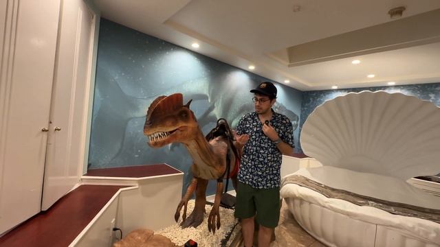 JAPONYA'NIN DİĞER YÜZÜ / EN PAHALI AŞK OTELİNE GİTTİK! смотреть онлайн