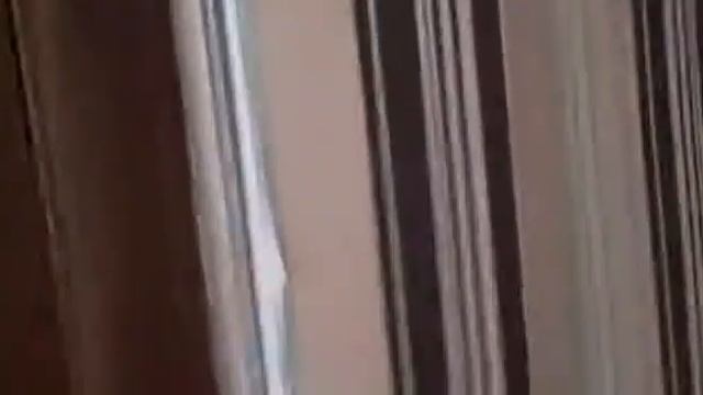 1 ком. Виктора Шевелева д.20