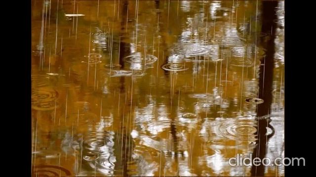 ОСЕНЬ РОНЯЕТ СЛЁЗЫ - исполнение Жанны Вишняковой Арс смотреть онлайн