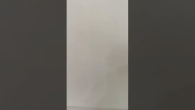 11 февраля 2024 г. смотреть онлайн