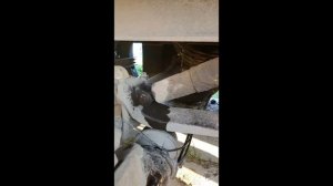 Замена сайлентблоков полуресоры прицепа Шмитц и амортизатора.