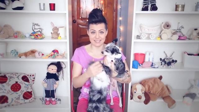 ROOM TOUR ЖИЗНИ СОБАКИ И Я В НОВОЙ КВАРТИРЕ! смотреть онлайн