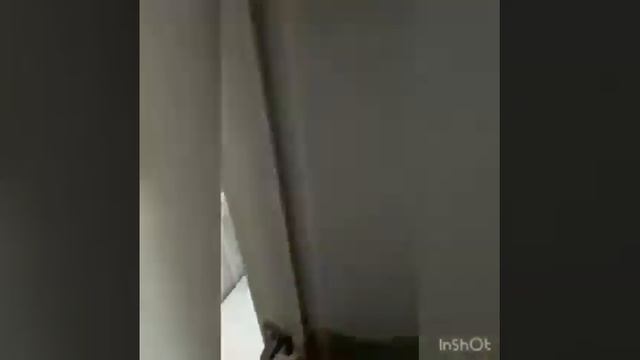 КВАРТИРА ВАШЕЙ МЕЧТЫ!!! смотреть онлайн