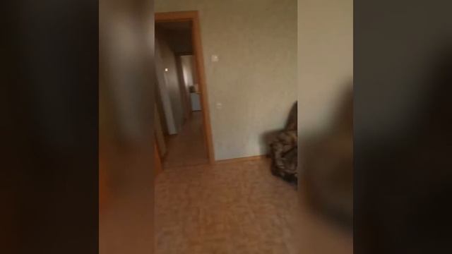 1к Квартира Спортивная 19 смотреть онлайн