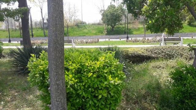 Несебр Болгария Солнечный Берег смотреть онлайн