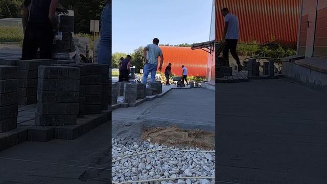 Процесс укладки тротуарной плитки в ускоренном режиме 💪👷♂️🏡 #москва #garden #landscape смотреть онлайн