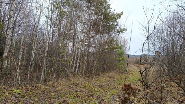 Ловля птиц 27.10.24. смотреть онлайн