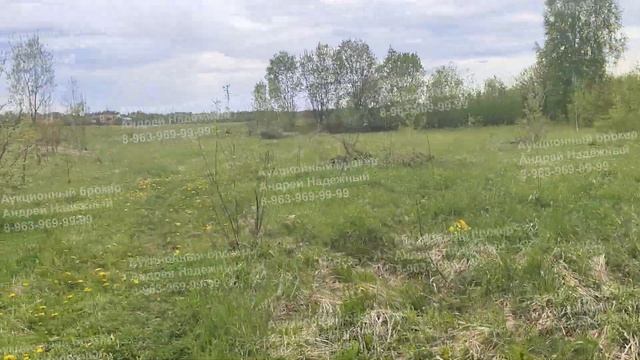 Участок 16 соток в д. Алексино МО смотреть онлайн