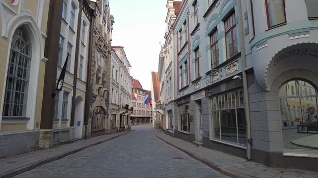 Tallinn very early in the morning (6AM) & a seagull cookie bandit смотреть онлайн