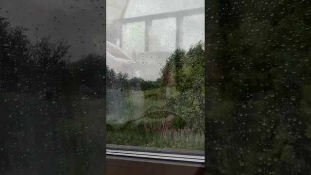 Отдых на базе отдыха «Рай в Шалаше» СПБ смотреть онлайн