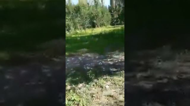 ала бука сапалак сай уй сатилат смотреть онлайн
