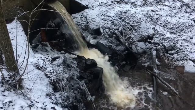 Сертолово смотреть онлайн