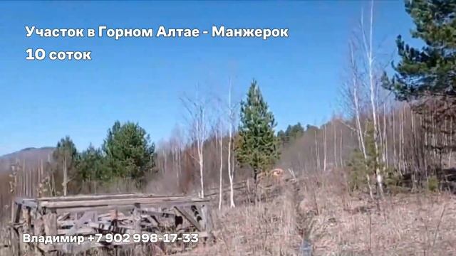 Участок в Горном Алтае✅ Выгодная инвестиция! #горныйалтай #манжерок смотреть онлайн