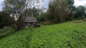 Подобрав на свалке сироток-близняшек, Игорь, спеша на переговоры, взял их с собой. А когда те...