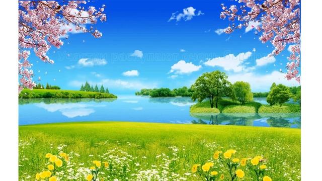 Весенняя распродажа участков! смотреть онлайн