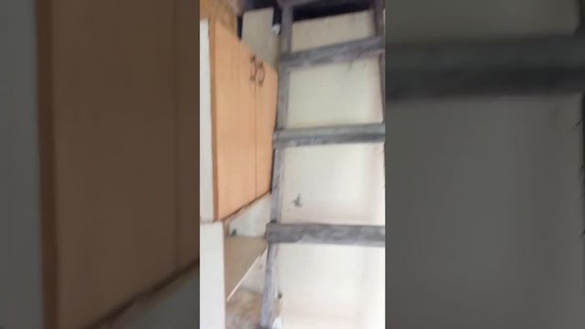 Домик в Горно-Алтайске смотреть онлайн