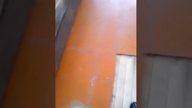 когда скрип достал (2 часть) смотреть онлайн