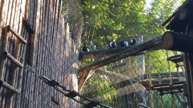Travel/Disney: Episode 21-A Morning Safari Ride and Our First Animation Experience at Animal Kingdo смотреть онлайн