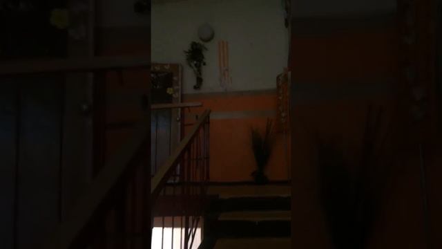 Проспект Мира 90 смотреть онлайн