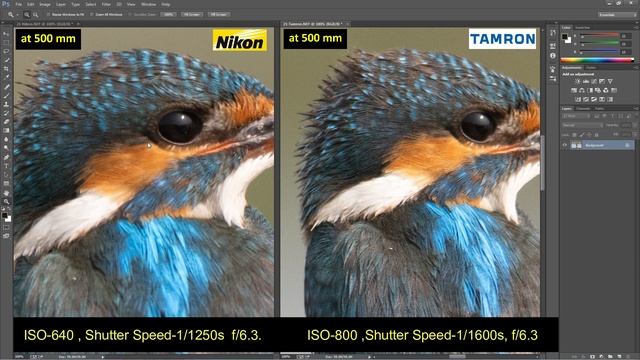 Tamron 150-600mm G2 Vs Nikon 200-500mm - Image Quality Comparison In Hindi.
