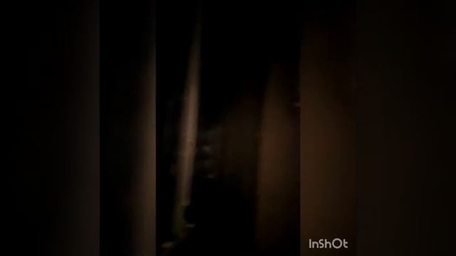 аренда 2 к кв Большой Сампсониевский смотреть онлайн