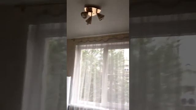 28 июля 2020 г. смотреть онлайн