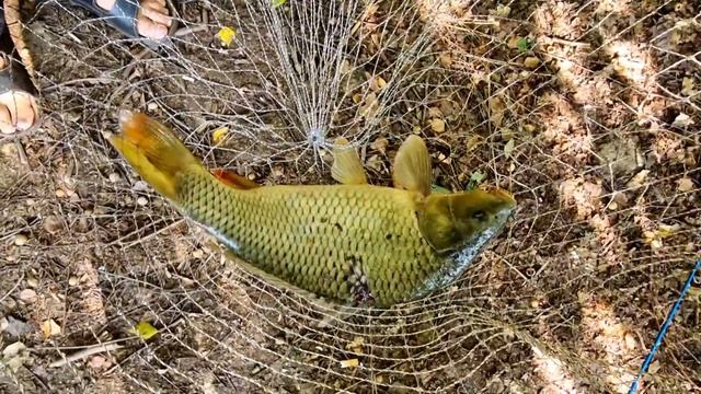 Вместе с мужем на рыбалку !🐟🐟 смотреть онлайн