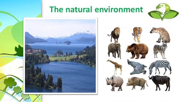 CLIL: Geography. Natural environments. 8-class, english смотреть онлайн