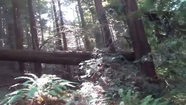 2014 Land Rover Range Rover Sport On Road & Off Road drive смотреть онлайн