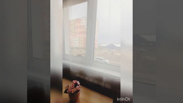Аренда 1к - квартиры. г. Н. Новгород, бульвар Южный дом 7. смотреть онлайн