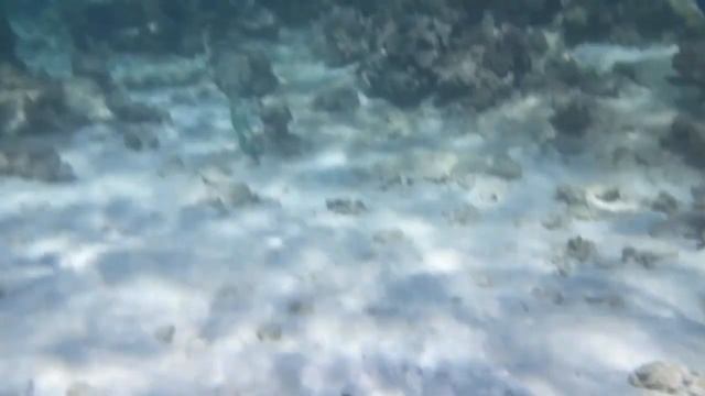 Ритуал - онлайн На большое богатство + недвижимость + удачу на риф. К Владыке моря. смотреть онлайн