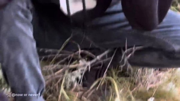 ОБЗОР ПАЛАТКИ | КАК ТАК МОЖНО? | Golden Shark Style 2