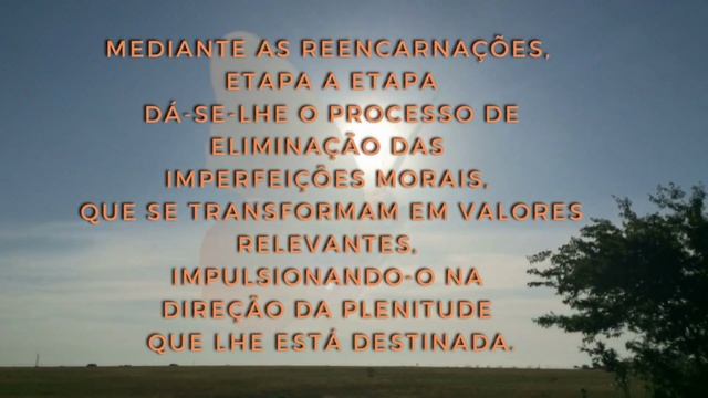 14 - TRANSIÇÃO PLANETÁRIA - Manoel Philomeno de Miranda - Divaldo Franco - Áudio 14- Cap. 12 смотреть онлайн