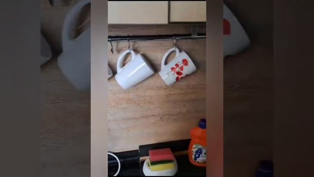 Ул Ленина 288 ( 24 ноября 2023) смотреть онлайн