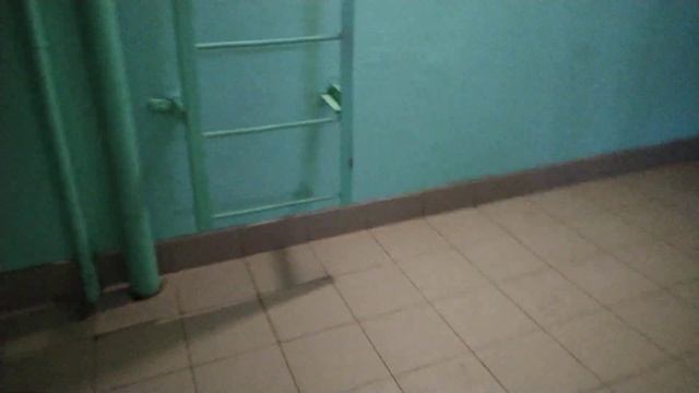 Говорящий лифт ЩЛЗ 1993 г.в., V=1 м/с, г/п 420 кг смотреть онлайн