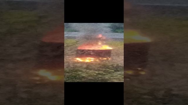 VID_20241026_173947.mp4