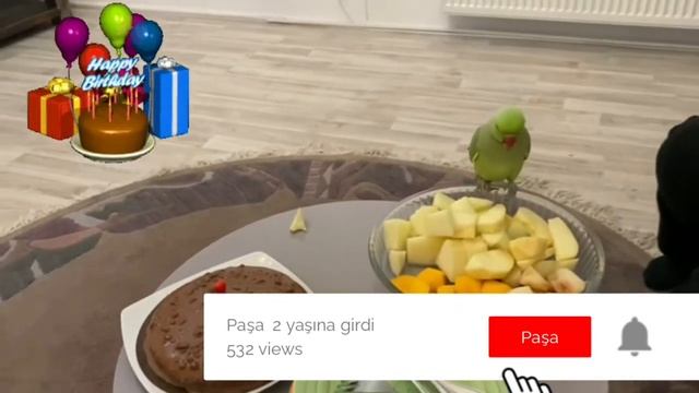 Happy Birthday Pascha / iyikide doğdun paşa смотреть онлайн