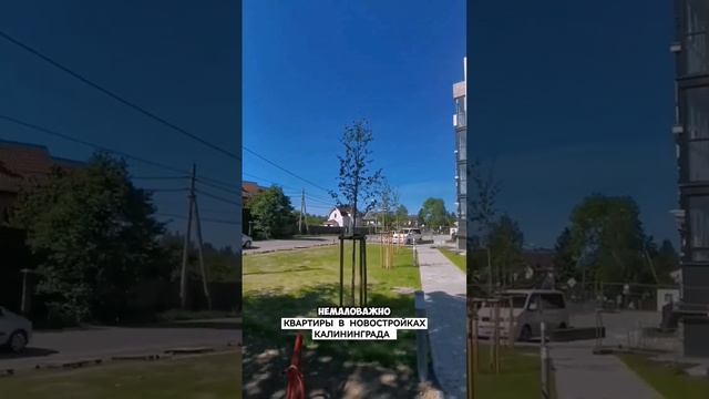 ЦЕНЫ НА НОВЫЕ КВАРТИРЫ В КАЛИНИНГРАДЕ смотреть онлайн