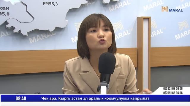 Чек ара: Кыргызстан эл аралык деңгээлде жасай турган укуктук кадамдар (юристтин пикири) смотреть онлайн