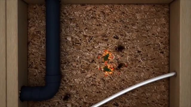 Cockroach Control Kit смотреть онлайн