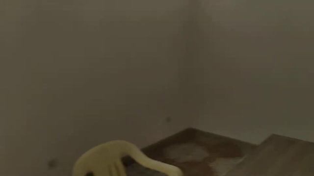 Лазаревское, победы 139 смотреть онлайн