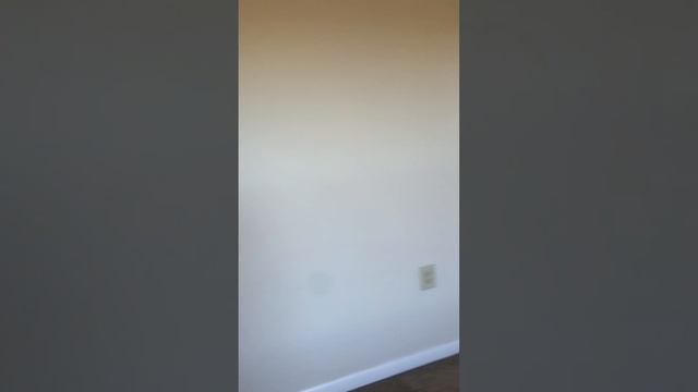 Neuchatel at The Lakes at Brandon West | Apartment Virtual Tour | GSC Apartments смотреть онлайн