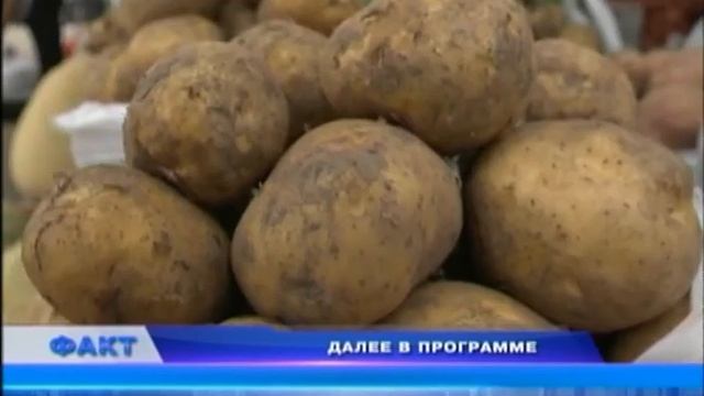 Факт (Рика ТВ) от 8 августа 2024 года смотреть онлайн