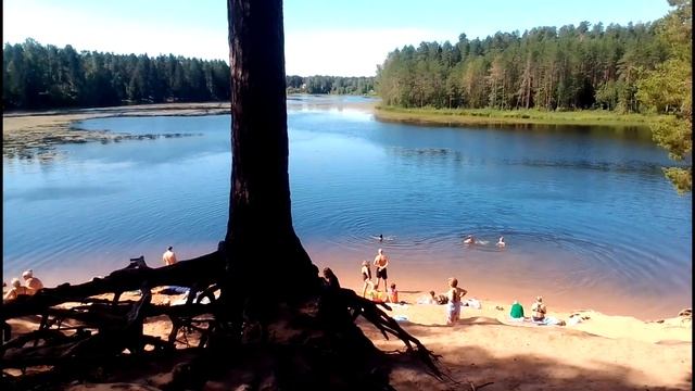 Вырица - Сиверский | 2023 смотреть онлайн