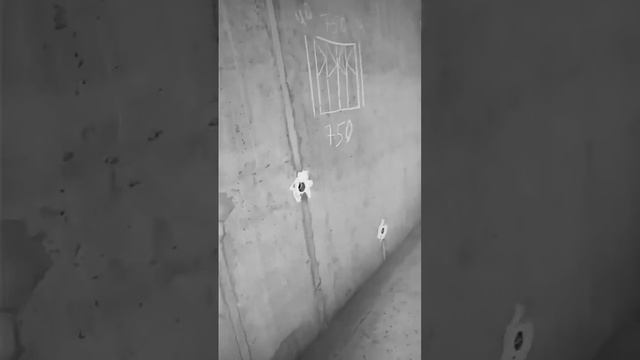 ЖМ Патриотика двушка 63.15 смотреть онлайн