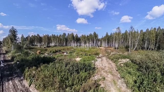1881020 смотреть онлайн